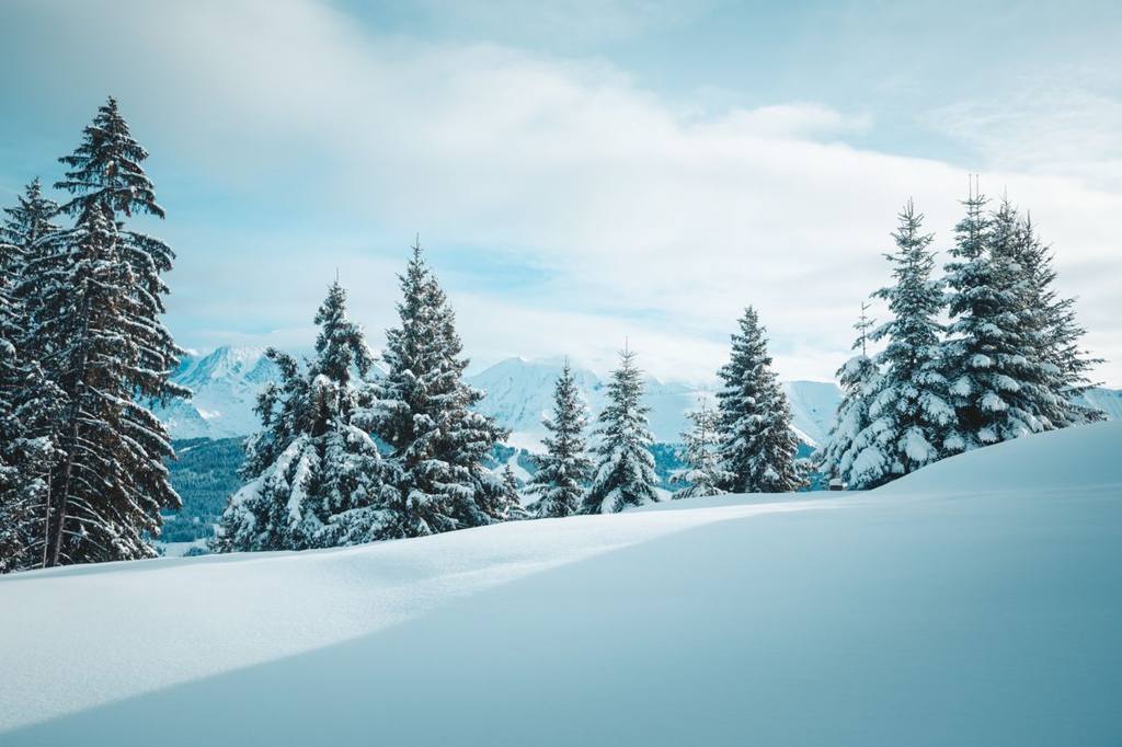 Demi-Quartier — Megeve