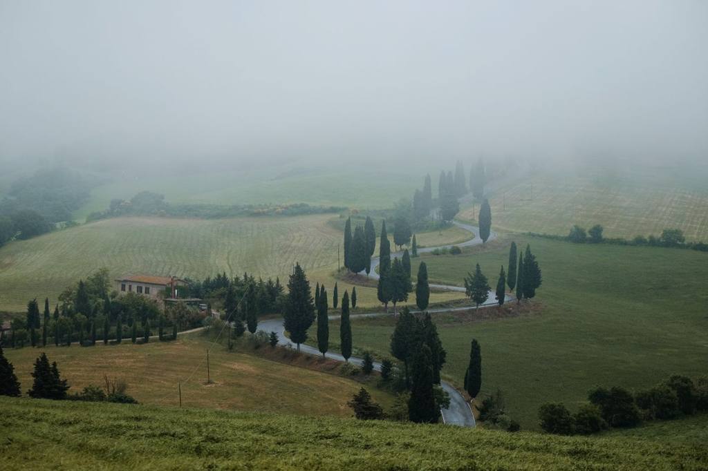 Cypress-lined road to a Tuscan estate