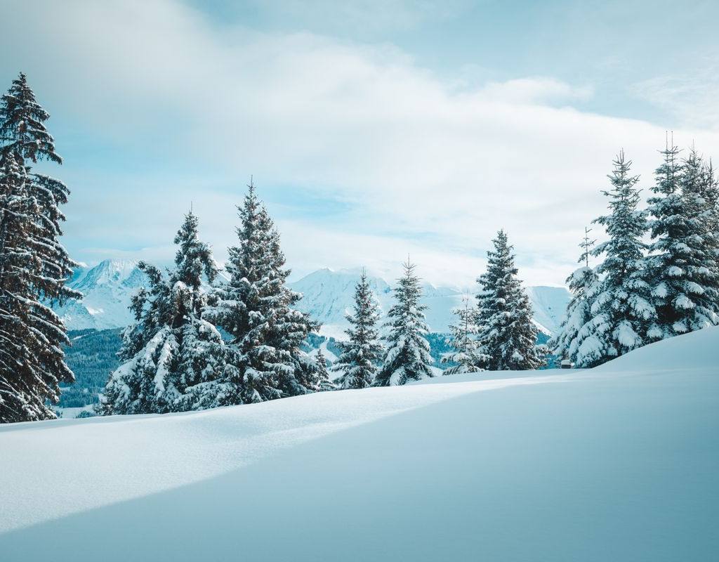 Demi-Quartier — Megeve