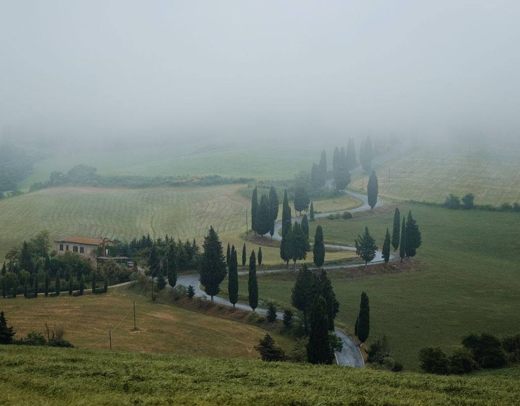 Cypress-lined road to a Tuscan estate