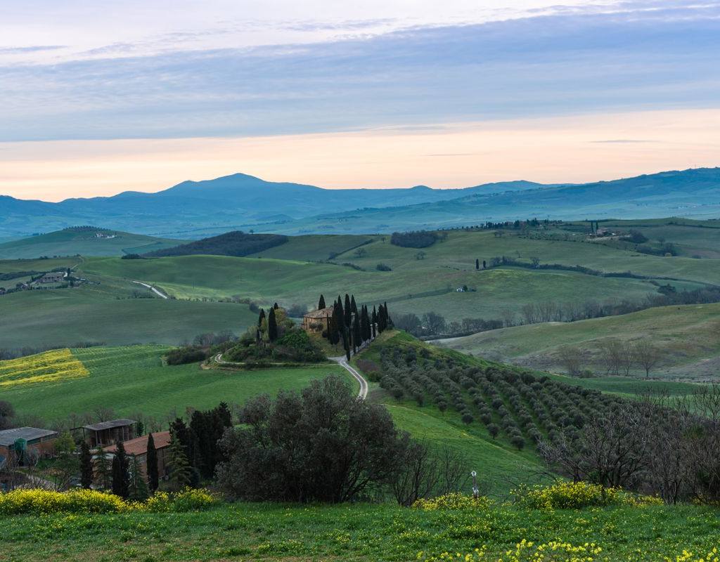 Val d'Orcia cypress hills at first light