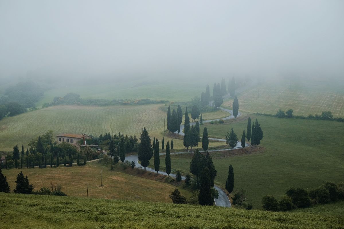 Cypress-lined road to a Tuscan estate