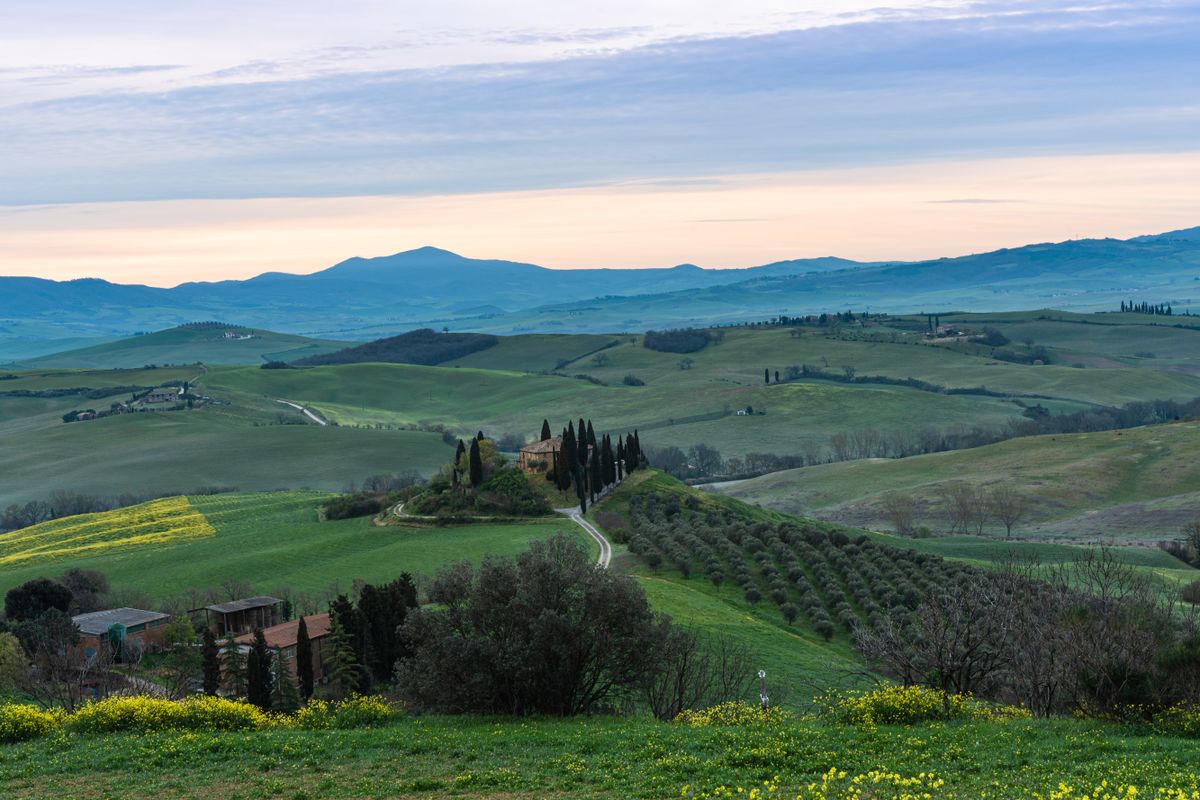 Val d'Orcia cypress hills at first light